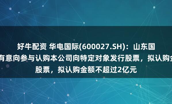 好牛配资 华电国际(600027.SH)：山东国惠及其下属公司有意向参与认购本公司向特定对象发行股票，拟认购金额不超过2亿元