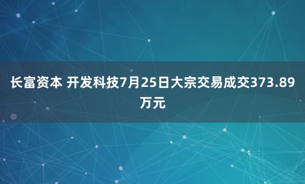 长富资本 开发科技7月25日大宗交易成交373.89万元
