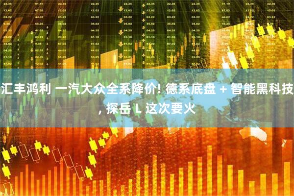 汇丰鸿利 一汽大众全系降价! 德系底盘 + 智能黑科技, 探岳 L 这次要火